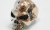 R0015 C.jpg